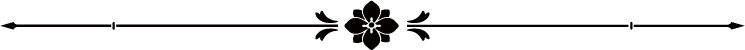 中心有花装饰的格线格线素材微信143微信0分割線