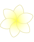 小花